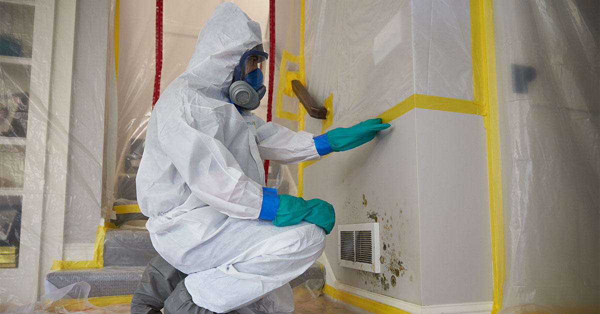 Certified mold inspection and testing